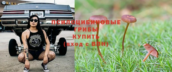 MDMA Алексеевка