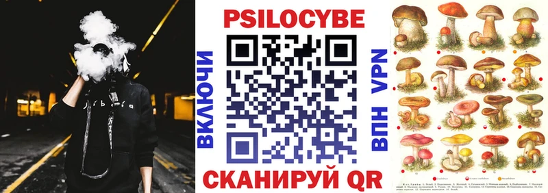 Псилоцибиновые грибы мицелий  Ленинск 